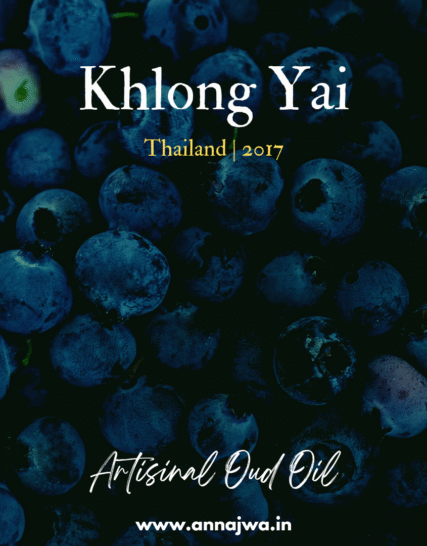 Khlong Yai