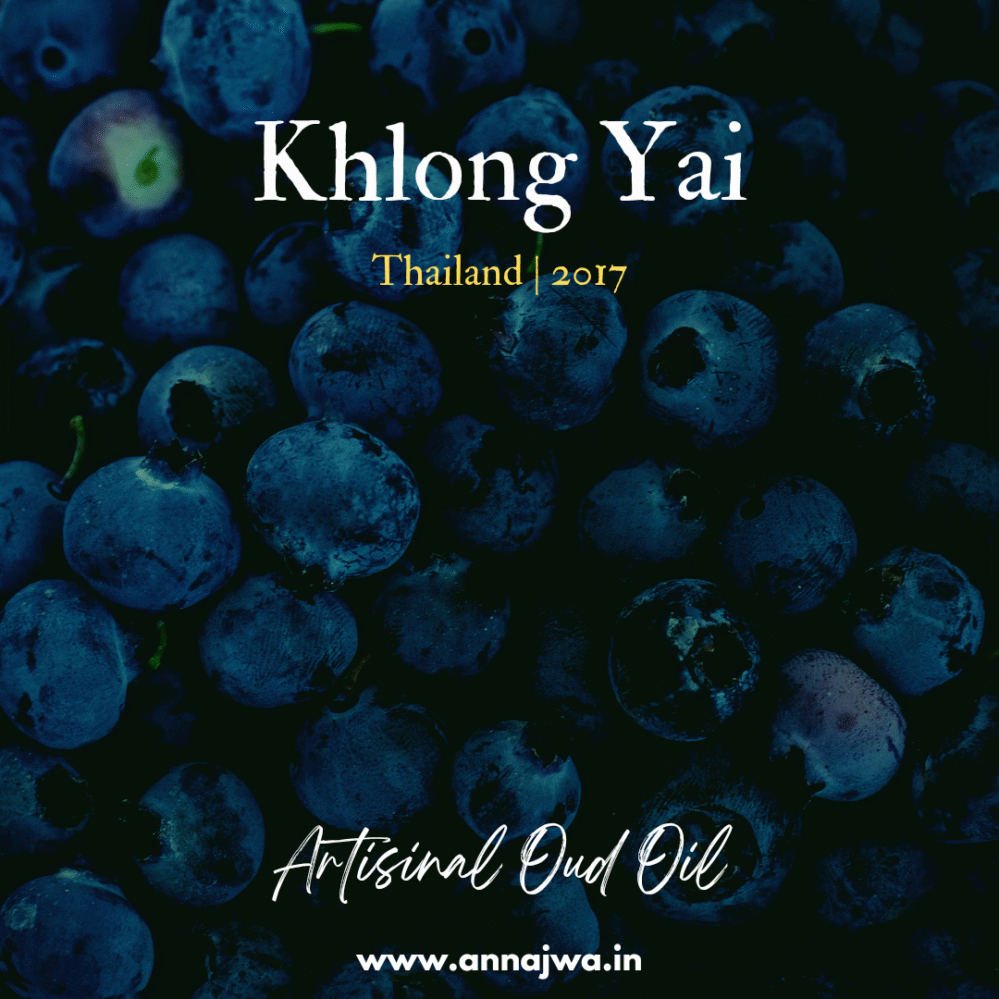 Khlong Yai