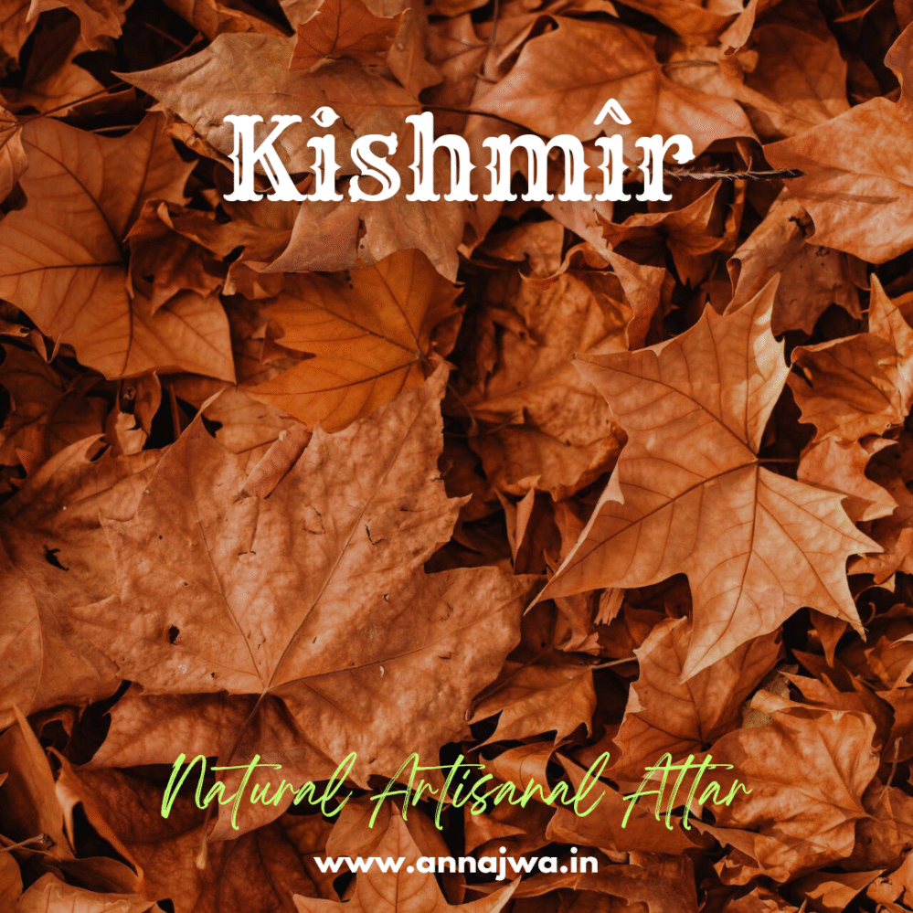 Kishmir - Image 2