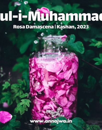 Gul-i-Muhammadi