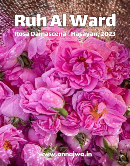 Ruh Al Ward